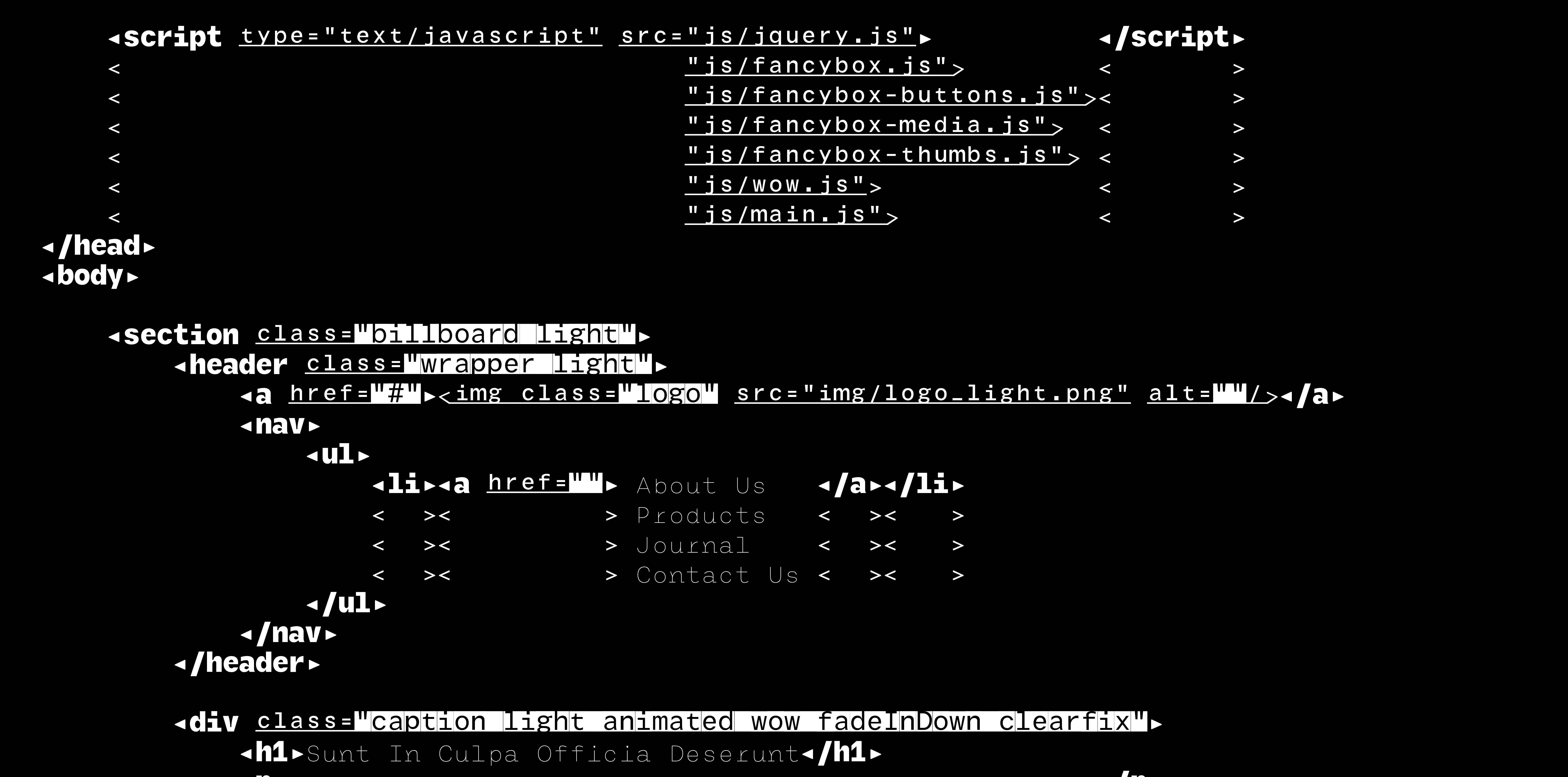Sections, séquences. Chasse fixe et hiérarchisation mobile pour le code informatique