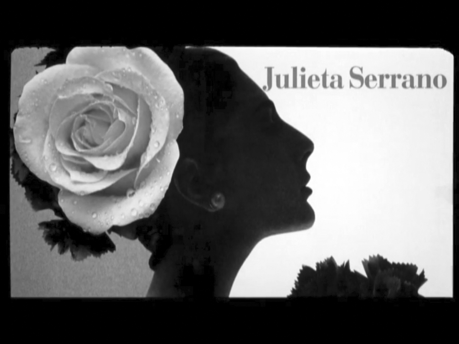 Hybridations de la page  et du champ dans les  génériques de films :  L’exemple du collage