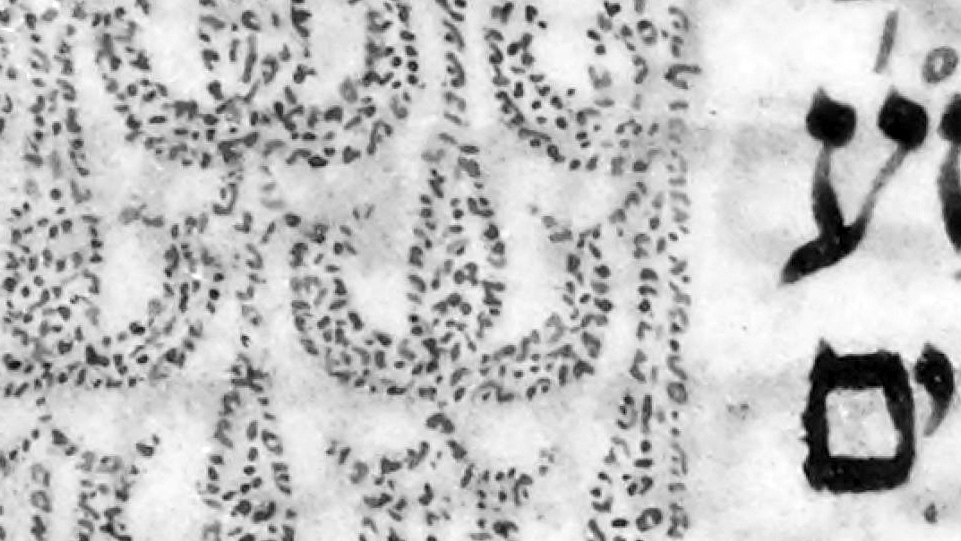 L’art de la micrographie dans les bibles hébraïques médiévales : de la lettre à la vénération